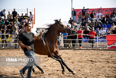 63256873__DSC9125-copy