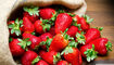 صادرات ۱۵ محصول کشاورزی آزاد شد