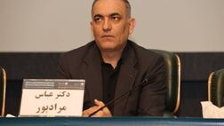 مداخلات دستوری به ثبات بانک‌ها آسیب می‌زند