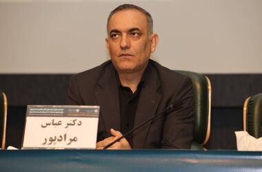 مداخلات دستوری به ثبات بانک‌ها آسیب می‌زند