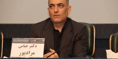 مداخلات دستوری به ثبات بانک‌ها آسیب می‌زند