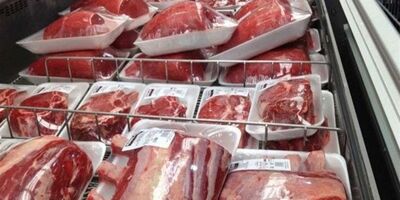 قیمت نهاده های دام عامل گرانی گوشت قرمز است