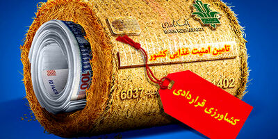 پیگیری وضعیت کارمندان شعبه اسکله شهید رجایی از سوی مدیرعامل بانک کشاورزی
