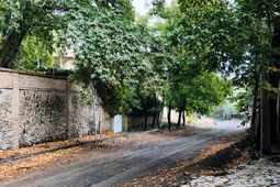 گذری در محله سرشک نطنز
