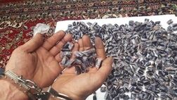 کشف ۱۷ کیلو تریاک از منزل مسکونی