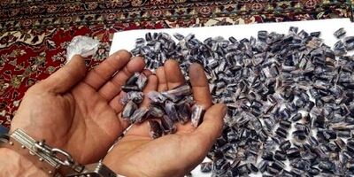 کشف ۱۷ کیلو تریاک از منزل مسکونی