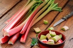 فواید شگفت‌انگیز ریواس: گیاهی ترش و پرخاصیت