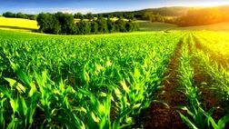 سرشماری عمومی کشاورزی امروز آغاز می‌شود