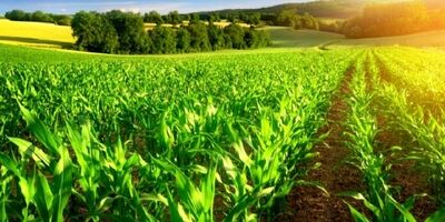 فرمان اجرای سرشماری عمومی کشاورزی ۱۴۰۳ ابلاغ شد