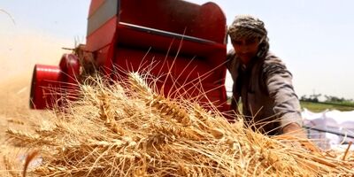 سهم تعاونی‌ها از اشتغال دو برابر می‌شود