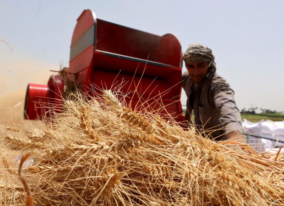 سهم تعاونی‌ها از اشتغال دو برابر می‌شود