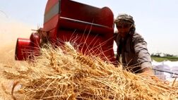 سهم تعاونی‌ها از اشتغال دو برابر می‌شود