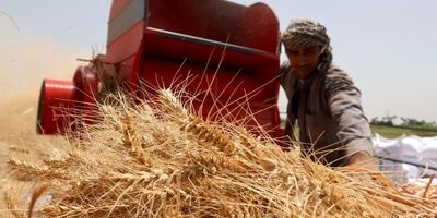 سهم تعاونی‌ها از اشتغال دو برابر می‌شود