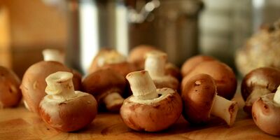 چهار مشکل مهم تولید کنندگان قارچ خوراکی مشخص شد