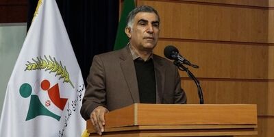 7 هزار خانوار روستایی استان فارس از مزایای صندوق بیمه روستائیان بهره‌مندند