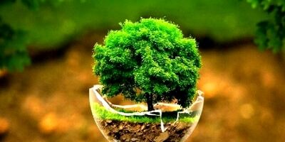 فناوری هسته‌ای چه کاربردی در محیط زیست دارد؟