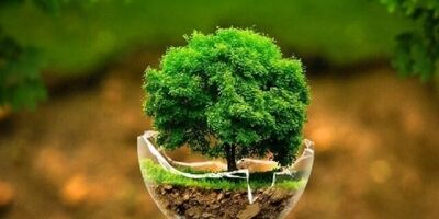 فناوری هسته‌ای چه کاربردی در محیط زیست دارد؟
