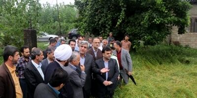 خسارت بارش باران به ۱۰ درصد از شالیزارهای گیلان  
