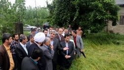 خسارت بارش باران به ۱۰ درصد از شالیزارهای گیلان  