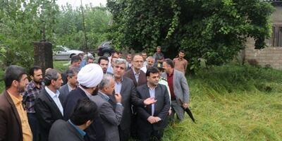 خسارت بارش باران به ۱۰ درصد از شالیزارهای گیلان  