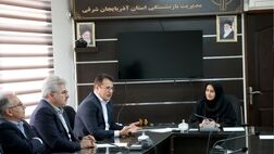 تکریم بازنشستگان و خدمت‌رسانی شایسته به آنان اولویت مهم بیمه داناست
