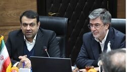اعتماد و امنیت، محور همکاری بیمه ایران و بانک ملی
