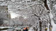 زمستانی ۴ درجه سردتر در پیش داریم / پیش‌بینی افزایش ۱۰۰ میلیون مترمکعبی مصرف گاز 
