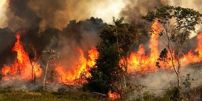 
دستور ویژه برای اطفای حریق در چالوس