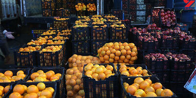 صادرات سیب و پرتقال آزاد شد+ سند
