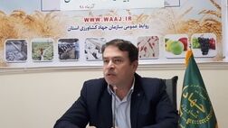۹۰ درصد اراضی کشاورزی آذربایجان‌‎غربی بیمه ندارد