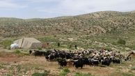 ۱۰۰ هزار خانوار کم بضاعت عشایر کشور بیمه رایگان اجتماعی می‌شوند