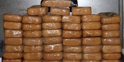 مواد فروش تهرانپارس با ۴۵ کیلو تریاک دستگیر شد
