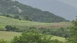 خرید و فروش اراضی جنگلی و ملی ممنوع است 