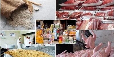 جزییات واردات کالاهای اساسی اعلام شد