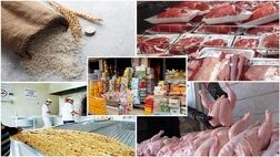 جزییات واردات کالاهای اساسی اعلام شد