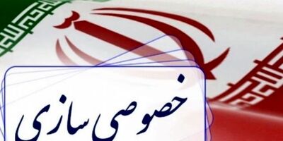 سهام دولت در بیمه البرز و اتکایی امین فروش نرفت/ عدم ارائه مدارک لازم توسط خریدار بیمه اتکائی امین