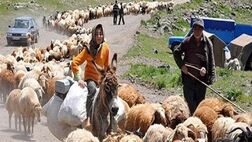 بیش از دومیلیون نفر تحت پوشش صندوق بیمه اجتماعی کشاورزان، روستائیان و عشایر