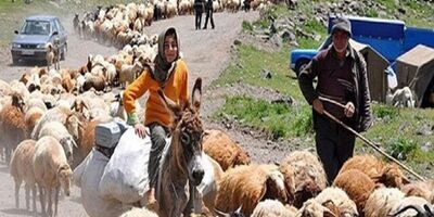 بیش از دومیلیون نفر تحت پوشش صندوق بیمه اجتماعی کشاورزان، روستائیان و عشایر