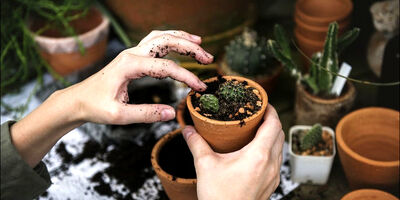 راهکاری برای کاهش استرس و افسردگی 