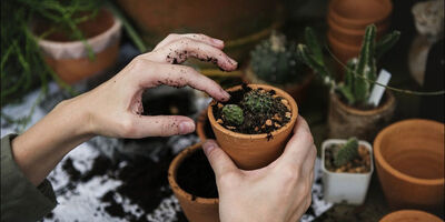 راهکاری برای کاهش استرس و افسردگی 
