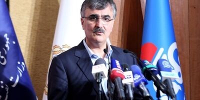 شرکت‌های متعلق به بانک ملی در لیست فروش قرار می‌گیرند