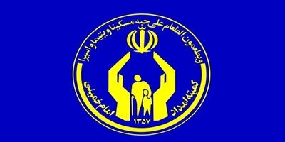 ماهیانه ۲۵۰ هزار تومان به سالمندان بیمار زمین‌گیر پرداخت می‌شود