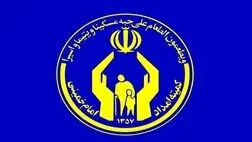 ماهیانه ۲۵۰ هزار تومان به سالمندان بیمار زمین‌گیر پرداخت می‌شود