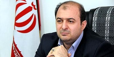معاون بانک و بیمه وزارت اقتصاد منصوب شد