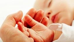 ۲۲۳ خدمت بیمه سلامت برای زوجین نابارور