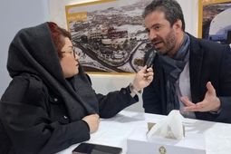شرکت های بیمه و لیزینگ تخصص لازم را در توسعه طرح های گردشگری ندارند