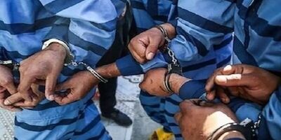 ۶ سارق در بروجرد دستگیر شد

