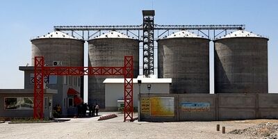 رشد ۱۷ درصدی واردات کالاهای اساسی