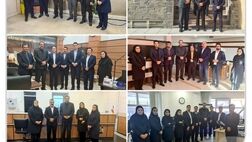 بازدید مدیر شعب و شبکۀ فروش بیمۀ سرمد از شعب 9 استان کشور

