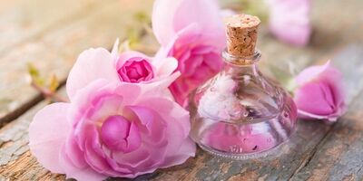 روزی چقدر گلاب بخوریم؟ / این افراد نباید گلاب مصرف کنند